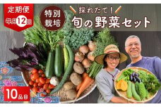 【10品目】【12カ月定期便】 特別栽培 たかしま農園 採れたて 旬の野菜セット 毎月発送  | 野菜 やさい 生野菜 おまかせ 詰め合わせ 無農薬 新鮮 季節 旬 食材 地元産 有機野菜 有機農業 農家 食育 健康 お取り寄せ 埼玉県 久喜市