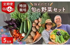 【5品目】【6カ月定期便】 特別栽培 たかしま農園 採れたて 旬の野菜セット 毎月発送  | 野菜 やさい 生野菜 おまかせ 詰め合わせ 無農薬 新鮮 季節 旬 食材 地元産 有機野菜 有機農業 農家 食育 健康 お取り寄せ 埼玉県 久喜市