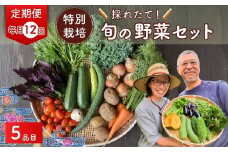 【5品目】【12カ月定期便】 特別栽培 たかしま農園 採れたて 旬の野菜セット 毎月発送  | 野菜 やさい 生野菜 おまかせ 詰め合わせ 無農薬 新鮮 季節 旬 食材 地元産 有機野菜 有機農業 農家 食育 健康 お取り寄せ 埼玉県 久喜市