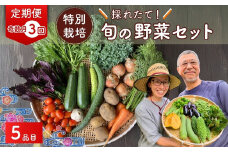 【5品目】【3か月隔月定期便】 特別栽培 たかしま農園 採れたて 旬の野菜セット 奇数月（1/3/5/7/9/11）発送 | 野菜 やさい 生野菜 おまかせ 詰め合わせ 無農薬 新鮮 季節 旬 食材 地元産 有機野菜 有機農業 農家 食育 健康 お取り寄せ 埼玉県 久喜市