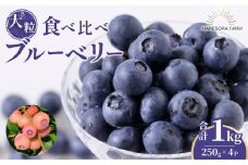 【2025年 先行予約】生食 ブルーベリー 食べ比べ 250g×4パック 1kg | 数量限定 先行予約 ブルーベリー 果物 くだもの フルーツ 季節限定 ベリー 産地直送 限定品 生食 ギフト 贈り物 健康 埼玉県 久喜市