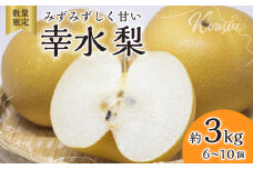 梨【2025年先行予約 数量限定】幸水 約3kg 6玉～10玉 | 先行予約 数量限定 梨 フルーツ 高級 産地直送 限定品 贈り物 新鮮 お取り寄せ デザート ギフト 風味豊か 香り 上品 希少価値 珍しい 地域 甘い 限定 果物 果樹 幸水 梨 なし 果物 フルーツ 和梨 旬 日本の梨 ジューシー みずみずしい 高糖度 季節のフルーツ 埼玉県 久喜市