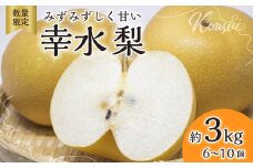 梨【2025年先行予約 数量限定】幸水 約3kg 6玉～10玉 | 先行予約 数量限定 梨 フルーツ 高級 産地直送 限定品 贈り物 新鮮 お取り寄せ デザート ギフト 風味豊か 香り 上品 希少価値 珍しい 地域 甘い 限定 果物 果樹 幸水 梨 なし 果物 フルーツ 和梨 旬 日本の梨 ジューシー みずみずしい 高糖度 季節のフルーツ 埼玉県 久喜市