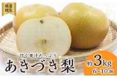 梨【2025年先行予約 数量限定】あきづき 約3kg 6玉～10玉 | 先行予約 数量限定 梨 フルーツ 高級 産地直送 限定品 贈り物 新鮮 お取り寄せ デザート ギフト 風味豊か 香り 上品 希少価値 珍しい 地域 甘い 限定 果物 果樹 あきづき 梨 なし 果物 フルーツ 和梨 旬 日本の梨 ジューシー みずみずしい 高糖度 季節のフルーツ 大玉 埼玉県 久喜市
