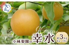 【2025年 先行予約】梨 幸水 約3kg 18代続く梨農家｜小林梨園 梨 フルーツ 旬 産地直送 数量限定 贈り物 新鮮 お取り寄せ デザート ギフト 風味豊か 赤梨 大玉 香り 上品 みずみずしい 甘い 限定 果物 果樹 幸水 梨 なし 果物 フルーツ 菖蒲 和梨 埼玉県 久喜市