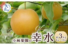 【2025年 先行予約】梨 幸水 約3kg 18代続く梨農家｜小林梨園 梨 フルーツ 旬 産地直送 数量限定 贈り物 新鮮 お取り寄せ デザート ギフト 風味豊か 赤梨 大玉 香り 上品 みずみずしい 甘い 限定 果物 果樹 幸水 梨 なし 果物 フルーツ 菖蒲 和梨 埼玉県 久喜市