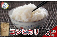 【2週間以内発送】R6年産 コシヒカリ 5kg×1 計5kg  | 埼玉県 久喜市 米 お米 コメ 特産米 ブランド米 穀物 農産物 ご飯 ごはん 主食 健康 ヘルシー 地元産 和食 安全 安心 健康 ギフト 贈り物 米 おいしい kome お米 こめ おこめ こしひかり 白米 精米 国産 ごはん ご飯 白飯 ゴハン おすすめ ふるさと TKG 卵かけご飯 おにぎり おむすび うめ 鮭 海苔