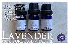 上質で芳醇な香り ラベンダー精油（エッセンシャルオイル）3ml 3本セット【リラックス リフレッシュ 感染予防対策 埼玉県 久喜市菖蒲産】
