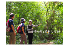 きたもと森林セラピー 体験コース（1～3名） | 森林浴 セラピー 体験 健康 癒し リラックス リフレッシュ ストレス軽減 埼玉県 北本市