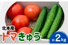 トマト きゅうりセット 計約2kg | とまと キュウリ tomato 胡瓜 国産 野菜 野菜セット 旬の野菜 野菜詰め合わせ 詰め合わせ つめあわせ 旬 季節限定 産直 産地直送 新鮮 採れたて 獲れたて 産地直送 ベジタブル ヘルシー 健康 北本産 JA 地場物産館 桜国屋 埼玉県 北本市