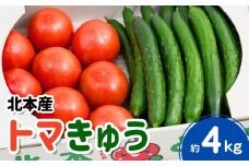 トマト きゅうりセット 計約4kg | とまと キュウリ tomato 胡瓜 国産 野菜 野菜セット 旬の野菜 野菜詰め合わせ 詰め合わせ つめあわせ 旬 季節限定 産直 産地直送 新鮮 採れたて 獲れたて 産地直送 ベジタブル ヘルシー 健康 北本産 JA 地場物産館 桜国屋 埼玉県 北本市