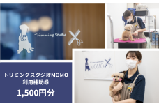 トリミング 写真撮影 利用補助券 1500円分 トリミングスタジオMOMO | ペット サロン カット トリミング トリマー チケット 犬 猫 ドッグ キャット ねこちゃん わんちゃん ワンちゃん 埼玉県 北本市