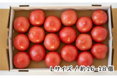 トマト 詰め合わせ 桃太郎はるか Lサイズ(約16個～18個) 約計4kg | とまと ﾄﾏﾄ 桃太郎 大玉トマト 産直 農家直送 マイルド 酸味が少ない 野菜 フレッシュ 健康 季節野菜 季節限定 国産 新鮮 野菜 北本産 関東 旬のトマト トマトファーム 加藤義明とまと農園 埼玉県 北本市