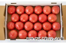 トマト 詰め合わせ 桃太郎はるか Mサイズ(約22～24個) 約計4kg | とまと ﾄﾏﾄ 桃太郎 大玉トマト 産直 農家直送 マイルド 酸味が少ない 野菜 フレッシュ 健康 季節野菜 季節限定 国産 新鮮 野菜 北本産 関東 旬のトマト トマトファーム 埼玉県 北本市