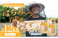 国産 百花はちみつ 600g×2瓶| はちみつ 蜂蜜 ハチミツ HONEY ハニー 百花 トースト 国産 ホットケーキ パンケーキ 健康 朝食 ヨーグルト  プレゼント 贈答 贈り物 根津ぶんぶーん農園 埼玉県 北本市