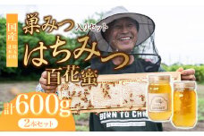 はちみつ巣みつ 百花はちみつ セット 300g×2瓶 | はちみつ 蜂蜜 ハチミツ HONEY ハニー コムハニー ハニーコム 蜜蝋 巣蜜 百花 トースト 国産 ホットケーキ パンケーキ 健康 朝食 プレゼント 高級 贈答 贈り物 根津ぶんぶーん農園 埼玉県 北本市 