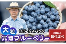 国産大粒ブルーベリー 2種以上食べ比べ 125g×4パック | 国産 大粒 生ブルーベリー 新鮮 フレッシュ 小分け とれたて くだもの ぶるーべりー 贈答 ギフト プレゼント 化粧箱 産直 旬 食べ比べ 完熟 お取り寄せ 農家 直送 デザート フルーツ こだわり 初夏 果物 北本産 金子果樹園 埼玉県 北本市