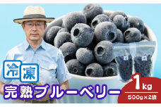 国産冷凍ブルーベリー 500g×2袋 計1kg | 国産 大粒 冷凍ブルーベリー 新鮮 フレッシュ 即冷凍 くだもの ぶるーべりー 贈答 ギフト プレゼント 化粧箱 産直 旬 食べ比べ 完熟 お取り寄せ 農家 直送 デザート フルーツ ヨーグルト ケーキ ジャム作り こだわり 果物 北本市産 金子果樹園 埼玉県 北本市