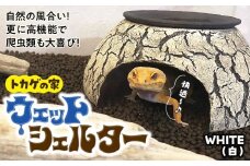 ウェットシェルター 爬虫類 | トカゲ レオパードゲッコー レオパ フトアゴ イモリ ペット用品 カエル ヘビ ペット 爬虫類用 シェルター 保湿 陶器 家 カビ抑制 隠れ家 おしゃれ おうち デザイン トカゲの家  飼育 作家 アーティスト 飼育用品 ギフト 作品 手づくり 陶芸家 とかげ 脱皮 インテリア オブジェ 観察 自然 飼育品 ナチュラル セキグチタカヒト 埼玉県 北本市