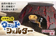 トカゲの家 ウェットシェルター 赤 爬虫類 | ペット トカゲ とかげ ペット用品 爬虫類用 シェルター 隠れ家 飼育用品 家 カビ抑制 観察 陶器 おしゃれ おうち デザイン 飼育 黒地 レオパードゲッコー レオパ フトアゴ イモリ カエル ヘビ 脱皮 作家 アーティスト ギフト 作品 陶芸家 手仕事 インテリア オブジェ 自然 ナチュラル レッド red セキグチタカヒト 埼玉県 北本市