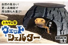 トカゲの家 ウェットシェルター 黒 爬虫類 | ペット トカゲ とかげ ペット用品 爬虫類用 シェルター 隠れ家 飼育用品 家 カビ抑制 観察 陶器 おしゃれ おうち デザイン 飼育 黒地 レオパードゲッコー レオパ フトアゴ イモリ カエル ヘビ 脱皮 作家 アーティスト ギフト 作品 手仕事 陶芸家 インテリア オブジェ 自然 ナチュラル ブラック black セキグチタカヒト 埼玉県 北本市