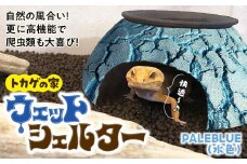 トカゲの家 ウェットシェルター 水色 爬虫類 | ペット トカゲ とかげ ペット用品 爬虫類用 シェルター 隠れ家 飼育用品 家 カビ抑制 観察 陶器 おしゃれ おうち デザイン 飼育 黒地 レオパードゲッコー レオパ フトアゴ イモリ カエル ヘビ 脱皮 作家 アーティスト ギフト 作品 手仕事 陶芸家 インテリア オブジェ 自然 ナチュラル みずいろ ブルー セキグチタカヒト 埼玉県 北本市