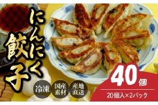 にんにく餃子20個×2箱 餃子 40個 人気店の旨味あふれる冷凍餃子 | 大量 大容量 ギョウザ 冷凍餃子 ギョーザ 冷凍ギョウザ 冷凍 冷凍ぎょうざ ぎょうざ ぎょーざ おいしい 手軽 食べ比べ 美味しい おつまみ 国産野菜 中華 簡単調理 惣菜 北本フーズ 埼玉県 北本市