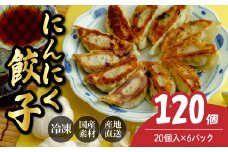 にんにく餃子20個×6箱 餃子 120個 人気店の旨味あふれる冷凍餃子 | 大容量 ギョウザ 冷凍餃子 ギョーザ 冷凍ギョウザ 冷凍 冷凍ぎょうざ ぎょうざ ぎょーざ おいしい 手軽 食べ比べ 美味しい おつまみ 国産野菜 中華 簡単調理 惣菜 北本フーズ 埼玉県 北本市