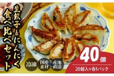 にんにく餃子20個&生餃子20個 餃子 40個 人気店の旨味あふれる冷凍餃子 | 大容量 ギョウザ 冷凍餃子 ギョーザ 冷凍ギョウザ 冷凍 冷凍ぎょうざ ぎょうざ ぎょーざ おいしい 手軽 食べ比べ 美味しい おつまみ 国産野菜 中華 簡単調理 惣菜 北本フーズ 埼玉県 北本市