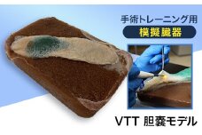 手術トレーニング用模擬臓器「VTT 胆嚢モデル」【1406093】
