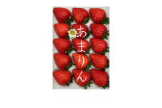 0010-046  富士見市産の苺（あまりん）