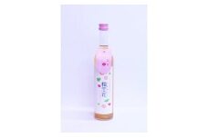 0010-022 梅酒（うめさけ）　梅恋花（うめれんか）500mℓ　2本ｾｯﾄ
