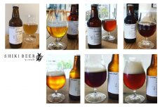 0020-062　クラフトビール　お楽しみ６本セット【330ml×６本（2種以上）】／SHIKI BEER