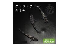 0050-009 メダカ「クラウドグレーダイヤ」3ペア