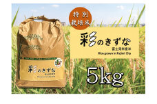 0010-063　特別栽培米　彩のきずな（令和6年産）　5㎏（1袋）