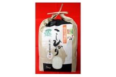 0010-001  特別栽培米こしひかり（令和6年産）