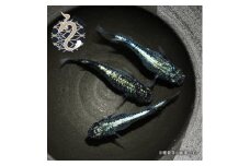 0017-003　メダカ「墨武（ボブ）」１ペア