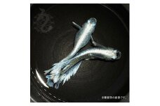 0035-003　メダカ「レーヴ（レーブ）」２ペア