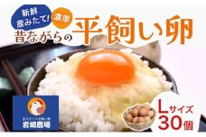 埼玉県蓮田市 平飼い卵 30個入 Lサイズ 玉子 新鮮 濃厚 コク 卵黄 鶏卵 タマゴ ギフト 卵セット 贈り物 プレゼント 食品 食材 朝ごはん 家族 団らん 朝食 昼食 ランチ 贅沢 お弁当