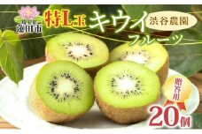 渋谷農園 キウイフルーツ 贈答用 特L玉 20個入り キウイ グリーン グリーンキウイ フルーツ 栄養 ビタミンC 食物繊維 酵素 カリウム 葉酸 ビタミンE 低カロリー 果実 果物 お取り寄せ ご当地 送料無料 埼玉県 蓮田市
