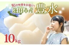蓮田市産 日本梨 豊水 10kg フルーツ 果物 ナシ なし 甘い みずみずしい シャリシャリ 食感 果汁 くだもの デザート おやつ お取り寄せ 産地直送 ギフト 贈答用 家庭用 埼玉県 蓮田市