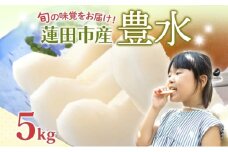 蓮田市産 日本梨 豊水 5kg フルーツ 果物 ナシ なし 甘い みずみずしい シャリシャリ 食感 果汁 くだもの デザート おやつ お取り寄せ 産地直送 ギフト 贈答用 家庭用 埼玉県 蓮田市