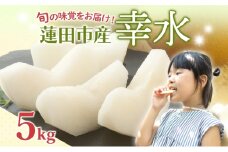 蓮田市産 日本梨 幸水 5kg フルーツ 果物 ナシ なし 甘い みずみずしい シャリシャリ 食感 果汁 くだもの デザート おやつ お取り寄せ 産地直送 ギフト 贈答用 家庭用 埼玉県 蓮田市