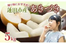 蓮田市産 あきづき 5kg フルーツ 果物 ナシ なし 甘い みずみずしい シャリシャリ 食感 果汁 くだもの デザート おやつ お取り寄せ 産地直送 旬 ギフト 贈答用 家庭用 埼玉県 蓮田市