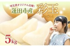 蓮田市産 日本梨 彩玉 5kg フルーツ 果物 ナシ なし 甘い みずみずしい シャリシャリ 食感 果汁 くだもの デザート おやつ お取り寄せ 産地直送 旬 ギフト 贈答用 家庭用 埼玉県 蓮田市