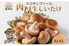 しいたけ800g (100g×8) 菌床 肉厚 生しいたけ ジューシー 小分け 食物繊維 国産 お取り寄せ グルメ こだわり しいたけ 椎茸 シイタケ きのこ ヘルシー エコサンファーム 送料無料 埼玉県 蓮田市