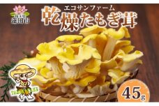 乾燥たもぎ茸 15g×3 (45g) 小分け 乾物 エルゴチオネイン 食物繊維 国産 お取り寄せ グルメ こだわり 簡単調理 タモギダケ きのこ 出汁 旨味 ヘルシー 食感 和洋中 送料無料 埼玉県 蓮田市