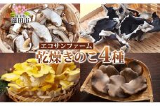 乾燥キノコ4種セット 干ししいたけ 干しきくらげ 干したもぎ茸 干しあわび茸 乾物 食物繊維 国産 お取り寄せ グルメ こだわり 簡単調理 ビタミン きのこ ヘルシー 送料無料 埼玉県 蓮田市