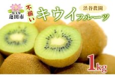渋谷農園 キウイフルーツ (グリーン) 不揃い 1kg以上 訳あり キウイ グリーン グリーンキウイ フルーツ 栄養 ビタミンC 食物繊維 酵素 カリウム 葉酸 ビタミンE 低カロリー 果実 果物 お取り寄せ ご当地 送料無料 埼玉県 蓮田市