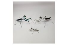 カマキリフィギュアセット＜カマキリ(大)×2個(グリーン×1、無地×1)、カマキリ(小)×1個＞【1214861】
